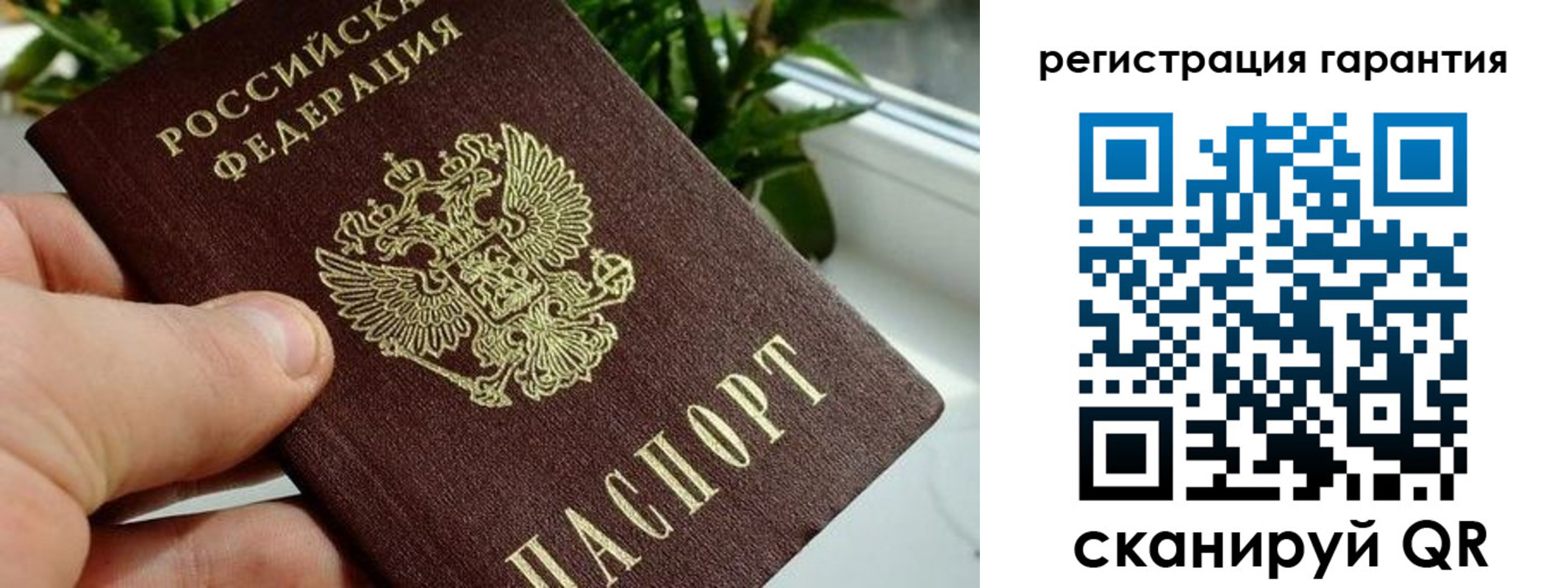 временная регистрация надежно в Костромской области